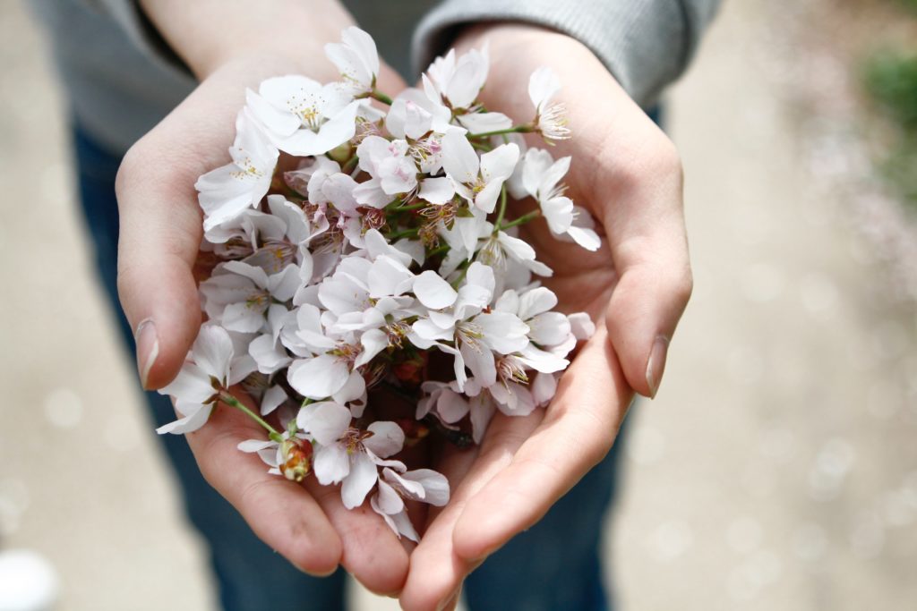 handful of flowers