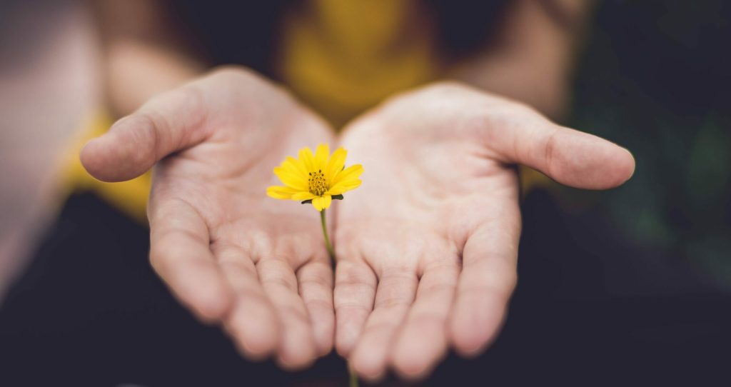 mindfulness