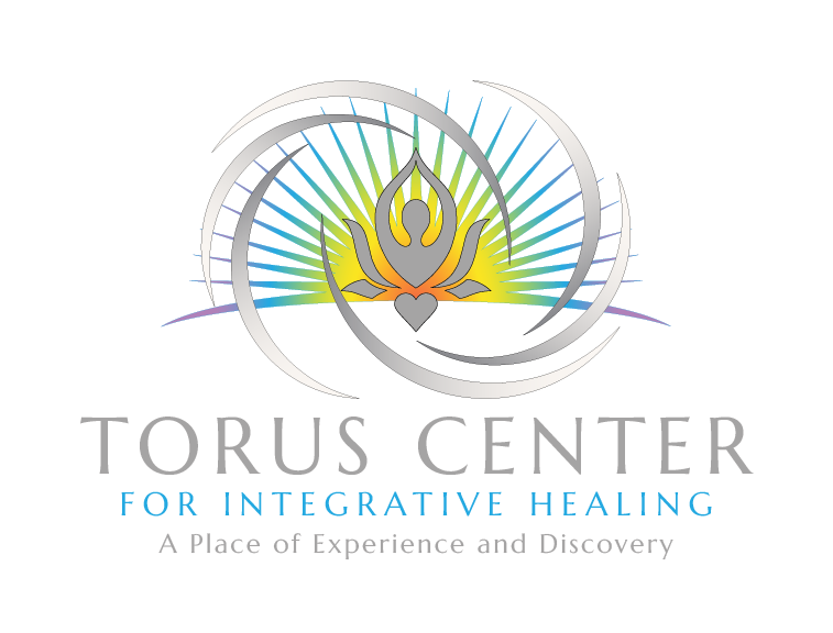 torus-gry-logo